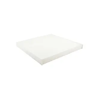 Cab Air Element BALDWIN FILTERS PA4857