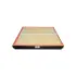 Panel Air Element with Foam Pad and Lift Tabs BALDWIN FILTERS PA5426 (фото 1)