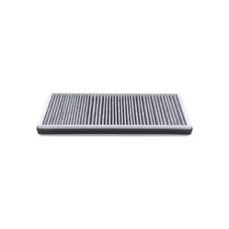 Cab Air Element BALDWIN FILTERS PA5492