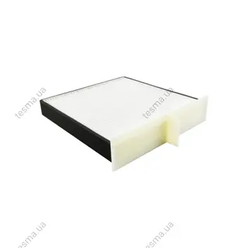 Cab Air Element BALDWIN FILTERS PA5629 (фото 1)