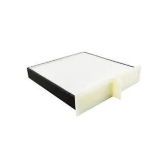 Cab Air Element BALDWIN FILTERS PA5629