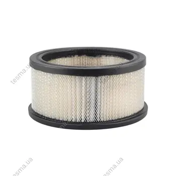 Air Element BALDWIN FILTERS PA634 (фото 1)