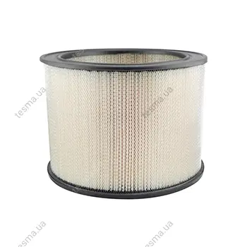 Air Element BALDWIN FILTERS PA638 (фото 1)