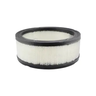 Air Element BALDWIN FILTERS PA650