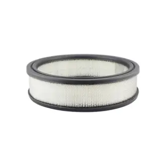 Air Element BALDWIN FILTERS PA691