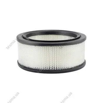 Air Element BALDWIN FILTERS PA699 (фото 1)