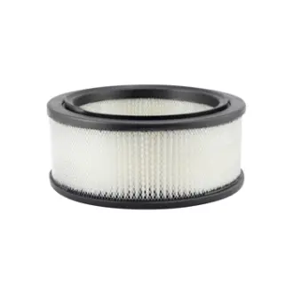 Air Element BALDWIN FILTERS PA699