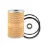 Fuel Element BALDWIN FILTERS PF7592 (фото 1)