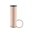 Fuel Element BALDWIN FILTERS PF9879 (фото 1)