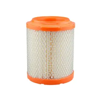 Air filter, primary. Фильтр воздушный, основной BALDWIN FILTERS RS10005