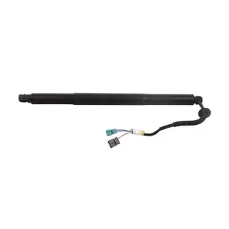 Амортизатор кришки багажника BAPMIC BF0113480112