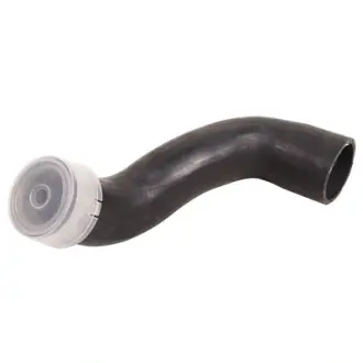 Повітряний шланг BAPMIC BF0422700273