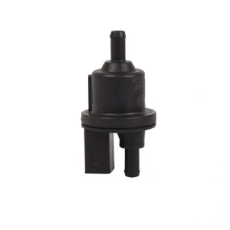 Клапан зворотнiй BAPMIC BF0424310050
