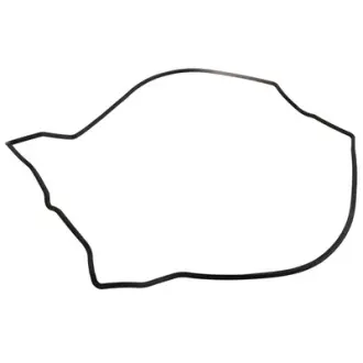Прокладка кришки ГБЦ BAPMIC BF0425420032