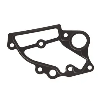 Прокладка водяного насоса двигуна BAPMIC BF0426360001