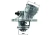 Термостат системы охлаждения BEHR HELLA TM45100D (фото 1)