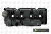 Кришка головки блоку циліндрів ДВЗ BGA RC01055 (фото 1)