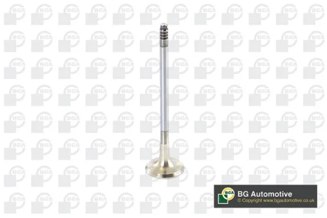 Клапан випуск BMW 1 (E81/E87)/3 (E90/E91/E92)/5 (E60/E61) 2.0 06-13 BGA V090101