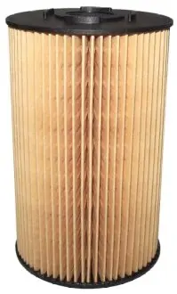 BIG FILTER GB1176