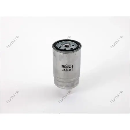 BIG FILTER GB6209 (фото 1)