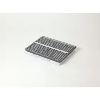 BIG FILTER GB9833C