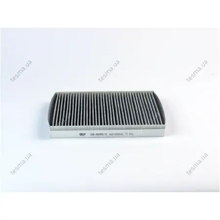 BIG FILTER GB9893C (фото 1)