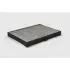 BIG FILTER GB9933C (фото 1)