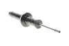 Амортизатор передн BMW 5 (G30, F90), 5 (G31) 1.6-3.0H 09.16- BILSTEIN 19-287409 (фото 1)