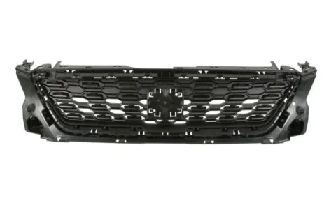 решітка радіатора середн (чорн, сертифікат CZ) SEAT IBIZA V 6F 06.17-06.21 BLIC 6502076623990Q