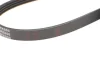 Ремінь генератора Honda Civic VI/ Nissan Primera 1.4-1.6 94-01/ Lexus GS 3.5 12-/ Toyota IQ 1.3 09- BLUE PRINT AD04R800 (фото 3)