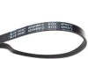 Ремінь генератора Hyundai Elantra 1.6 00-06/ Accent 1.4-1.6 00-10/ Nissan Primera 1.6 96-02 BLUE PRINT AD04R813 (фото 2)