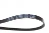 Ремінь генератора Suzuki Swift 1.0i 95-05/ Honda Civic 1.4-1.6 94-01/ Nissan Primera1.6-2.0 96-02 BLUE PRINT AD04R823 (фото 2)