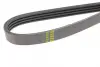 Ремінь генератора Renault Kangoo 1.4i 97-/ Mitsubishi L 300 2.0 86-04/ Hyundai Santamo 2.0 99-02 BLUE PRINT AD04R995 (фото 3)
