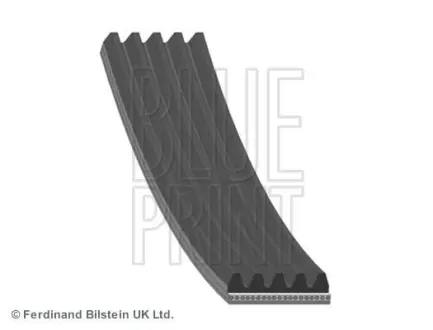 Поликлиновой ремень BLUE PRINT AD05R1010