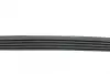 Ремінь генератора BMW 3 (E46)/ X5 (E53)/ 5 (E39) 2.5D-3.0D 98-06/ Land Rover Range Rover 3.0 D 02-12 BLUE PRINT AD05R810 (фото 2)