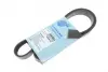 Ремінь генератора Ford Focus 1.4i 98-01/ Honda Accord/ Prelude 2.2 96-02 BLUE PRINT AD06R1042 (фото 1)