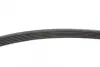Ремінь генератора Peugeot 206/ Citroen C5/ Xantia/ Xsara/Berlingo 1.4-2.0 96-/ Skoda Fabia 1.2 01-14 BLUE PRINT AD06R1454 (фото 2)