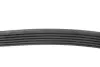 Ремінь генератора VW LT 2.5TDI -06/T4 2.5 91-03/Ford Connect 1.8 TDCi 02-07/ Opel Astra 1.7 07- BLUE PRINT AD06R1718 (фото 2)