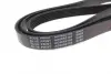 Ремінь поліклиновий Citroen. Jaguar. Jeep. Land Rover. Mitsubishi. Peugeot (вир-во Blue Print) BLUE PRINT AD06R2195 (фото 2)