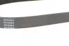 Ремінь генератора Fiat Scudo 1.6/ Renault Kangoo 1.9D 97-/ VW Golf/ Passat 1.6-2.0 90-02 (6PK894) BLUE PRINT AD06R894 (фото 3)