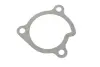 Water Pump. Насос водяний BLUE PRINT ADN19178 (фото 8)