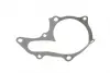 Water Pump. Насос водяний BLUE PRINT ADT39143 (фото 7)