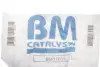 Фільтр сажевий VW T5 2.5TDI 03-09 (Євро 3-4) BM CATALYSTS BM11033 (фото 2)