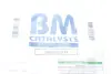 Катализатор BM CATALYSTS BM31021H (фото 2)