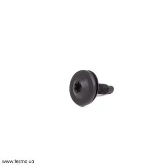Гвинт з шайбою M6x21 G11/G20 BMW 07147263759