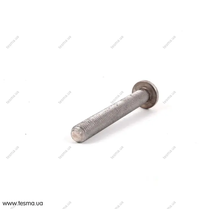 Болт Torx M8X70-AL BMW 11127529997 (фото 1)