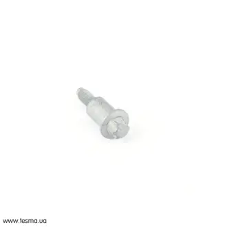 Болт Torx M6 спеціальний BMW 11127802605