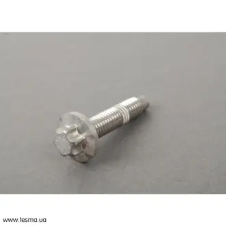 Болт BMW 11137559537