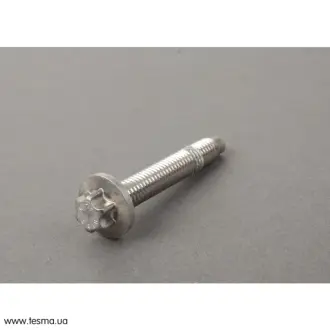 Болт BMW 11137582340