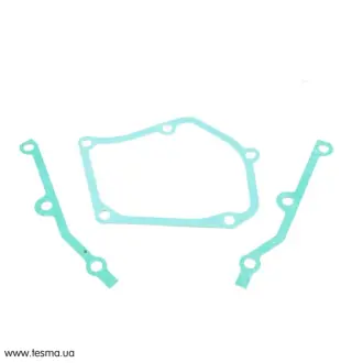 Комплект прокладок BMW 11141721919